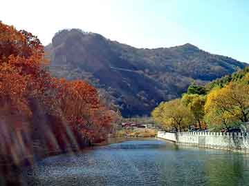 正新澳门二四六天天彩，除油器